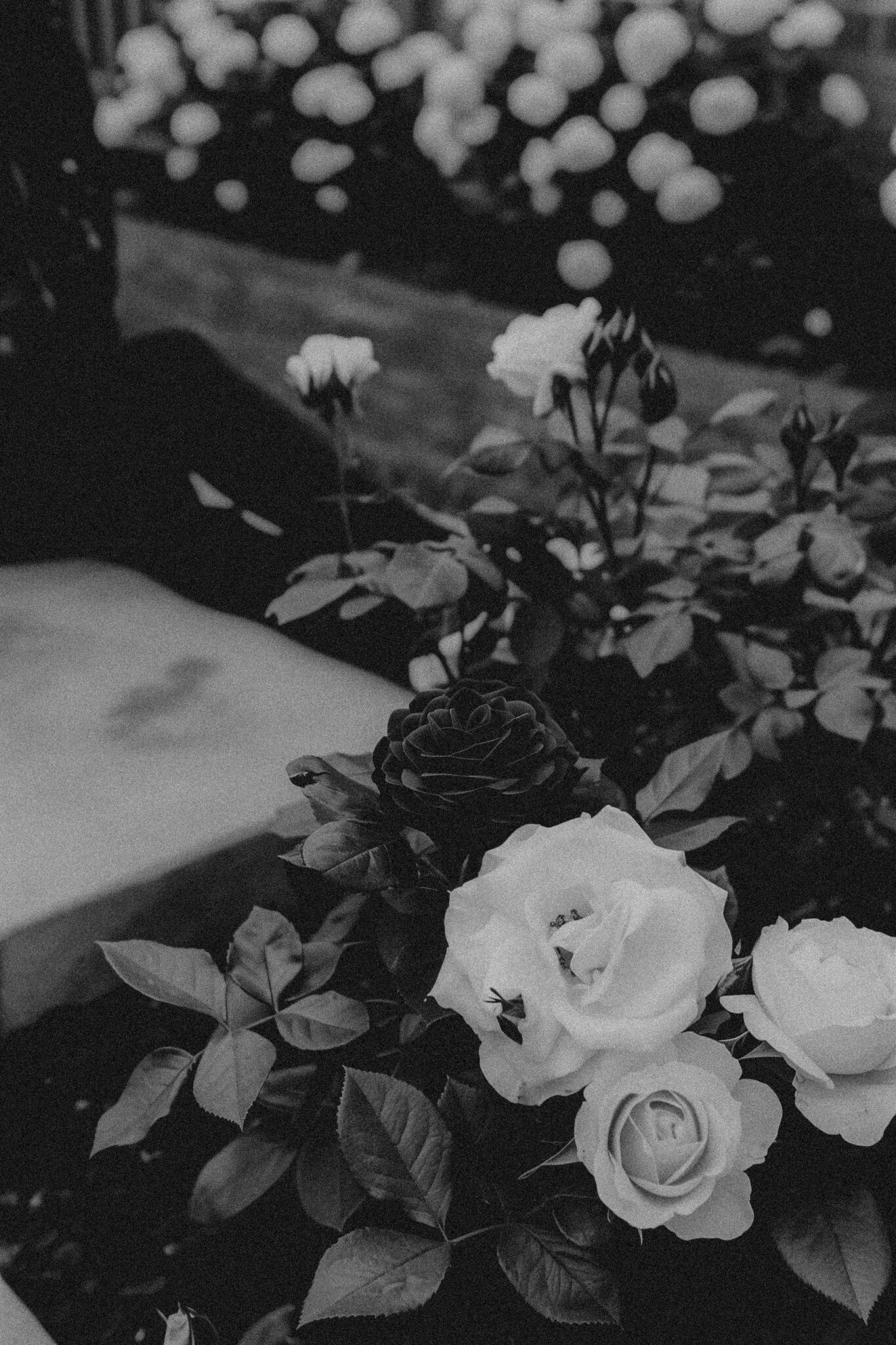 The Invitation No. 7 - How Can I Expand My Capacity To Receive Abundance?