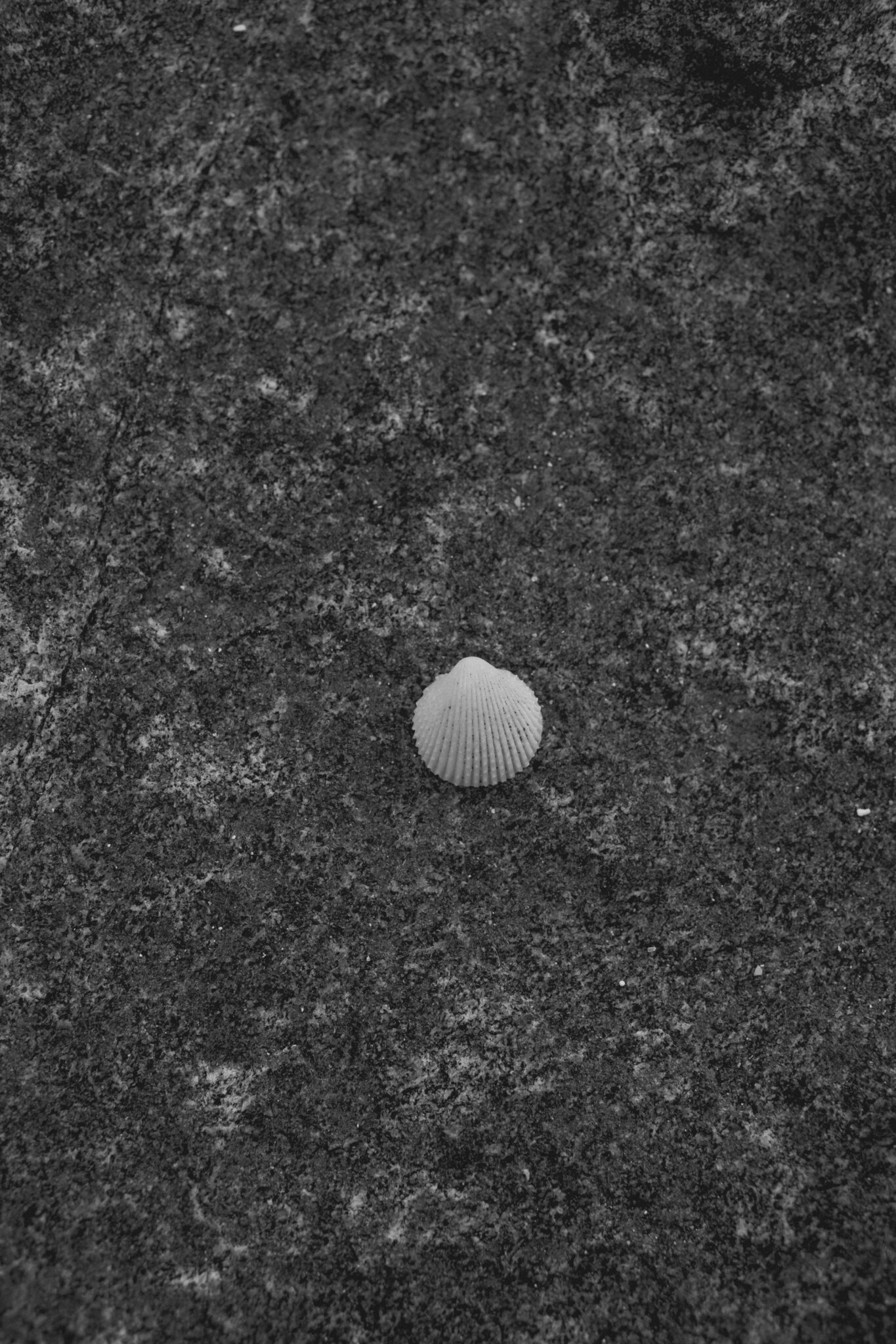 How To Trust The Intuitive Messages You’re Receiving - Hilary Pearlson